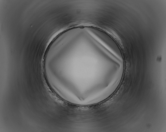 X0000090901190200708270937