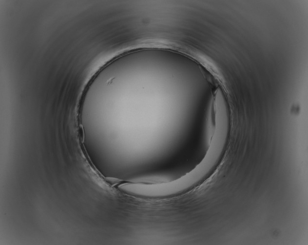 X0000090901192200708270937