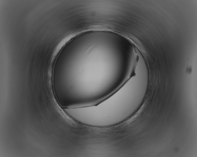 X0000090901196200708270937