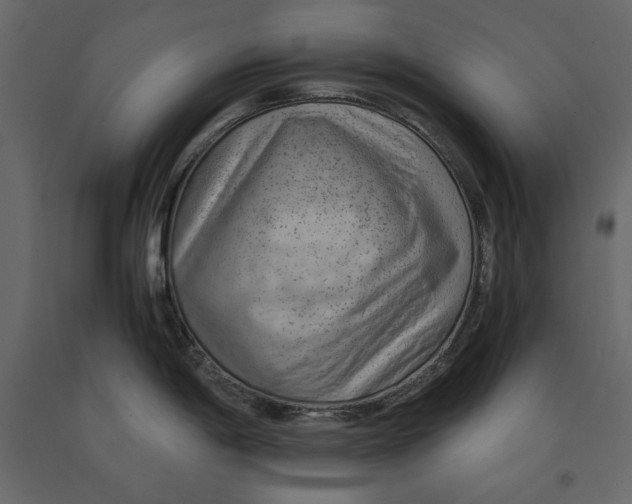 X0000090901198200708270937