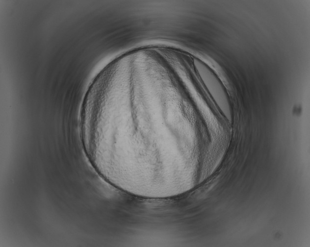 X0000090901199200708270937