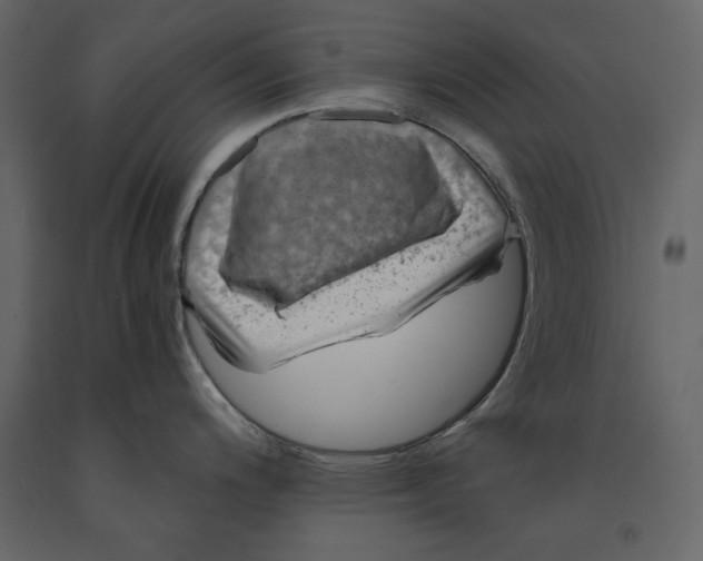 X0000090901200200708270937