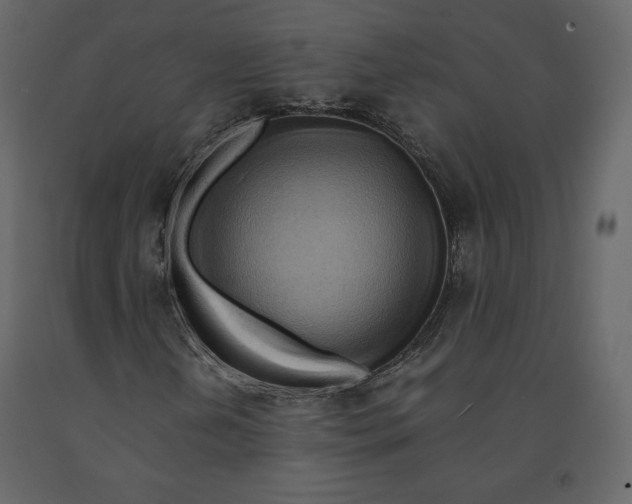 X0000090901202200708270936