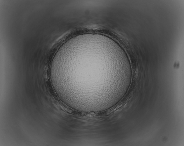 X0000090901205200708270936