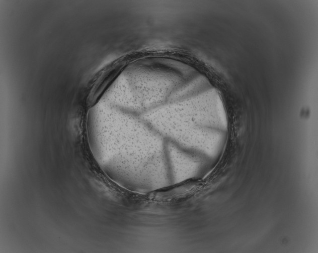 X0000090901206200708270936