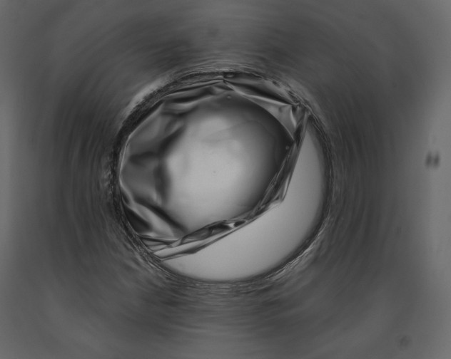 X0000090901210200708270937