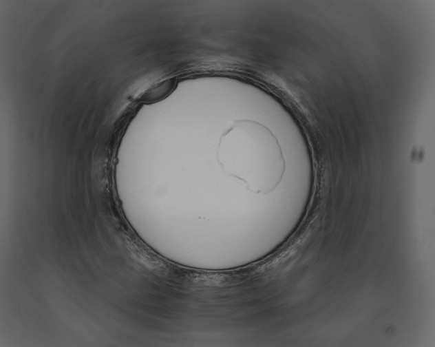 X0000090901211200708270937