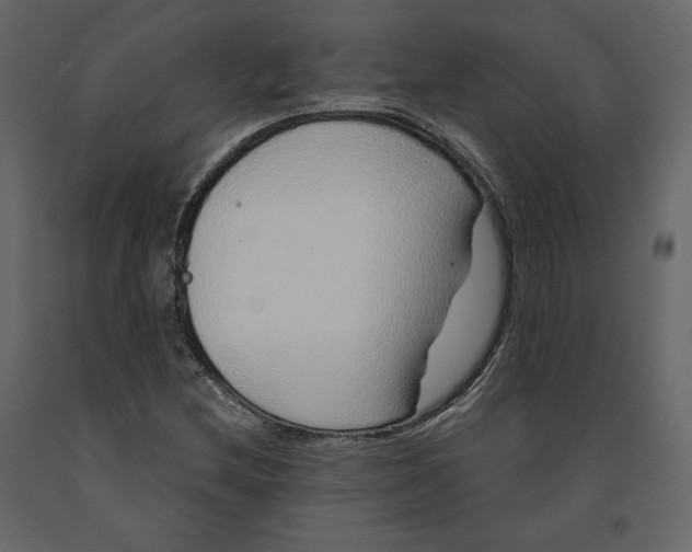 X0000090901212200708270937