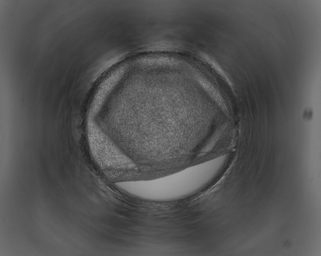 X0000090901213200708270937