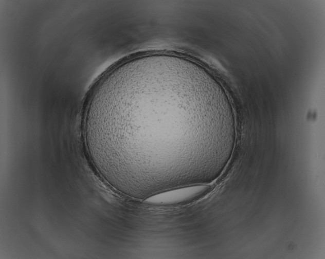 X0000090901216200708270937