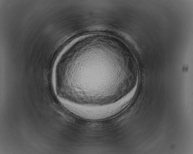 X0000090901217200708270937