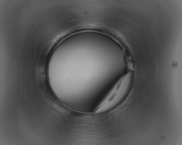 X0000090901218200708270937