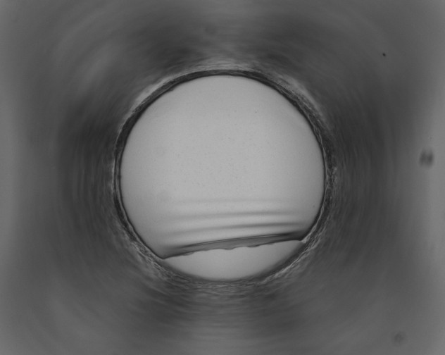 X0000090901220200708270937