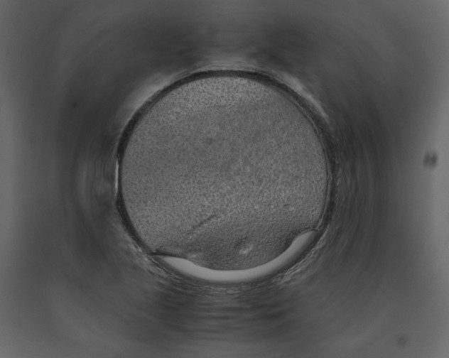 X0000090901221200708270937