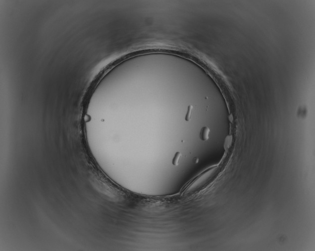 X0000090901222200708270937