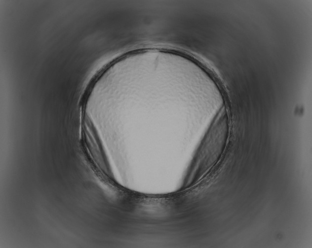 X0000090901223200708270937