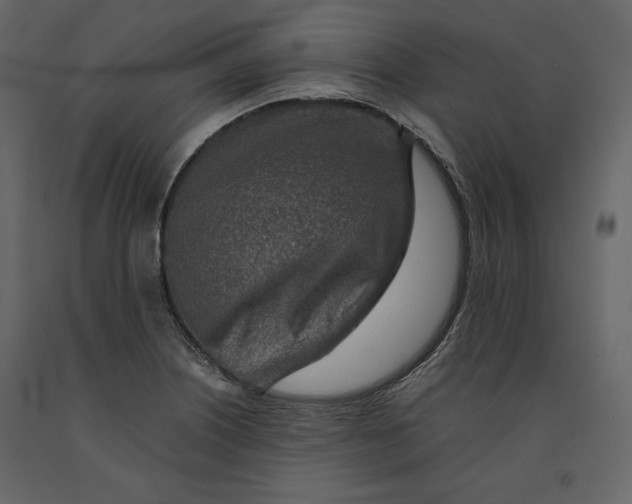 X0000090901226200708270937