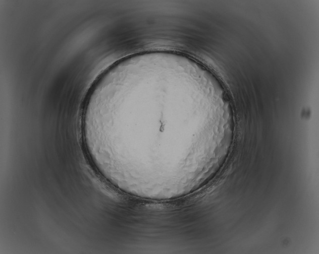 X0000090901227200708270937