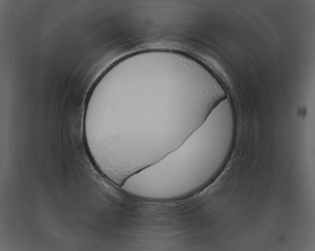 X0000090901228200708270937