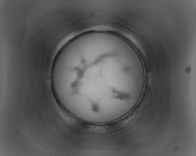 X0000090901229200708270937