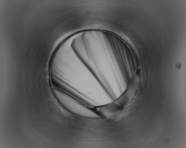 X0000090901230200708270937