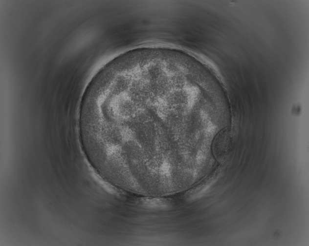 X0000090901231200708270937