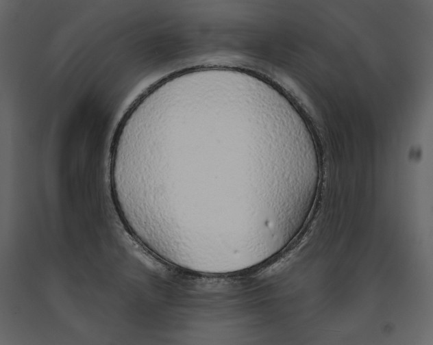 X0000090901232200708270937