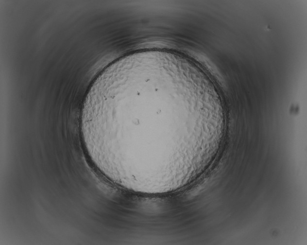 X0000090901233200708270937