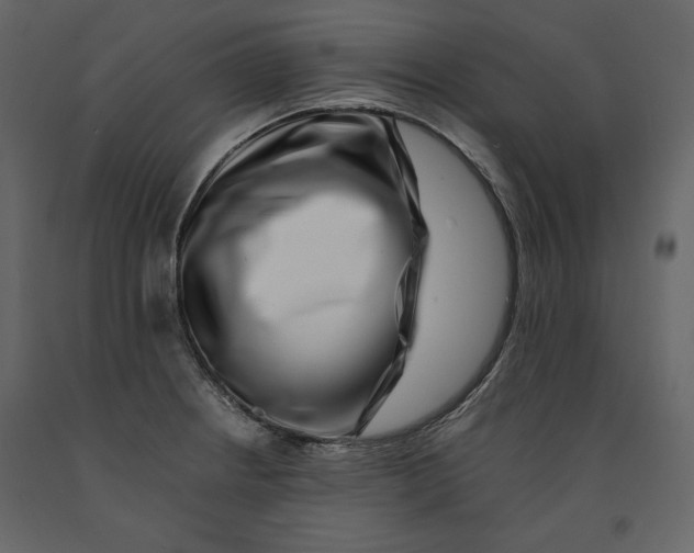 X0000090901234200708270937