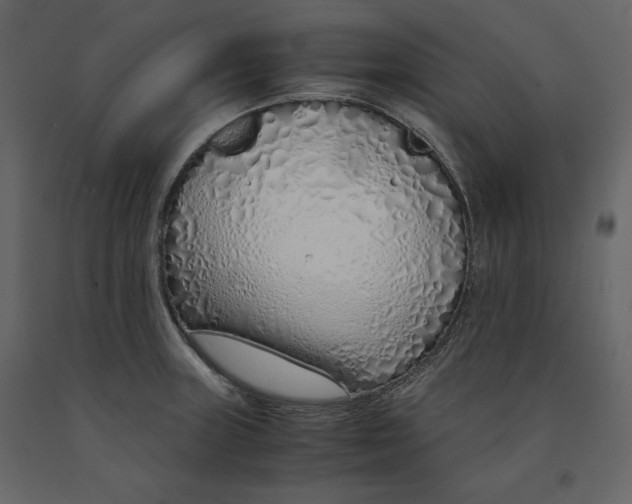 X0000090901235200708270937