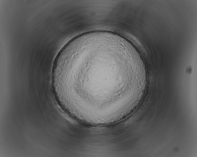 X0000090901236200708270937