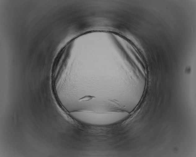 X0000090901237200708270937