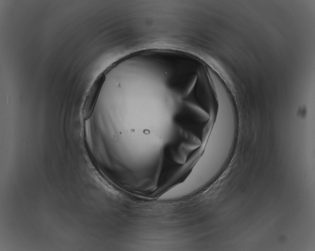 X0000090901238200708270937