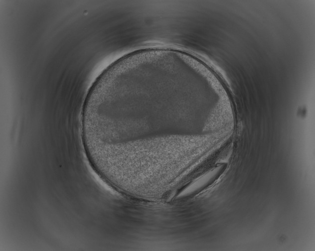 X0000090901239200708270937