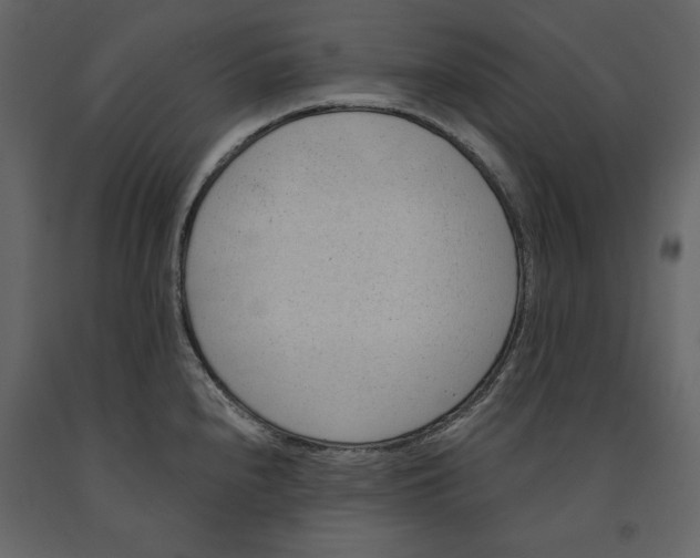 X0000090901240200708270937