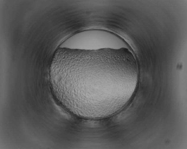 X0000090901241200708270937