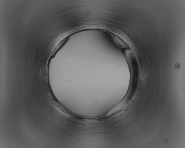 X0000090901242200708270937