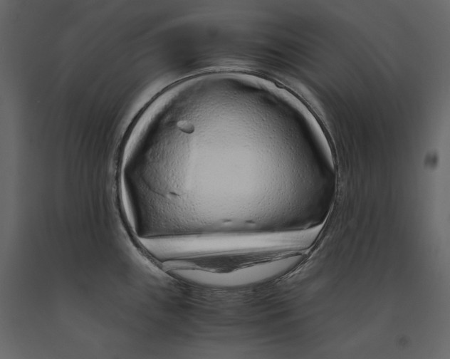 X0000090901243200708270937