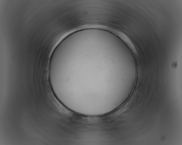 X0000090901244200708270937