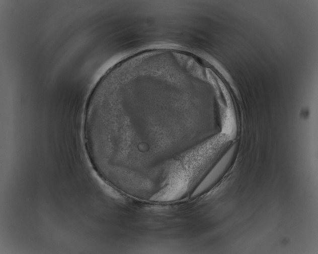 X0000090901245200708270937