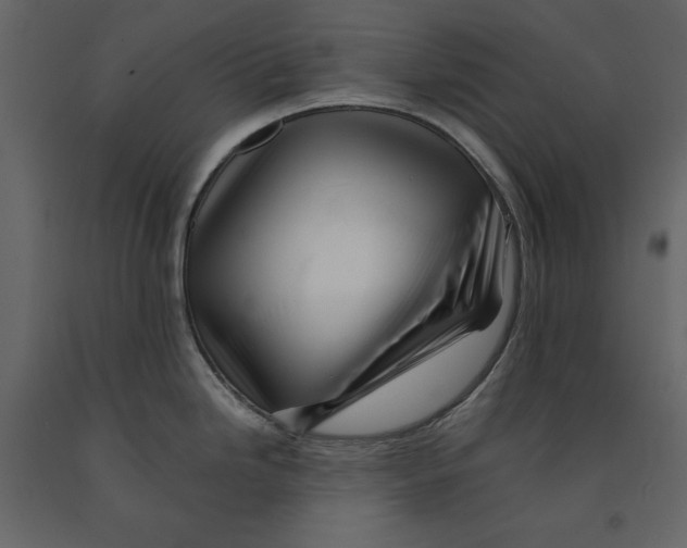 X0000090901246200708270937