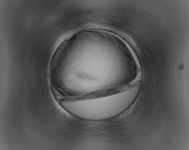 X0000090901247200708270937