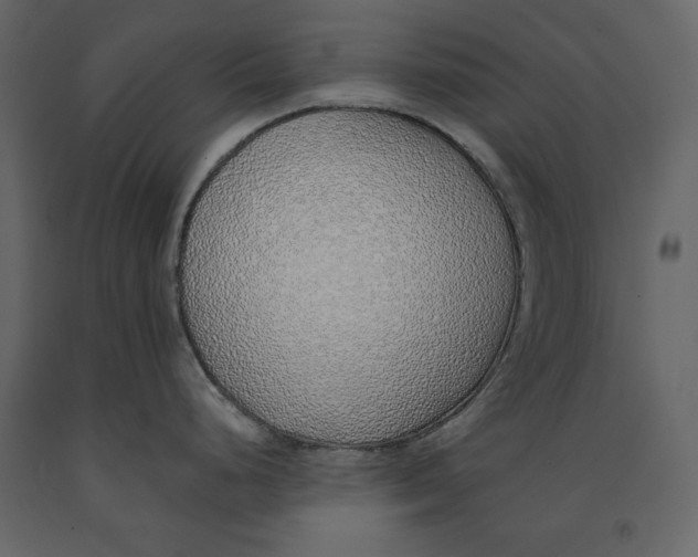 X0000090901248200708270937