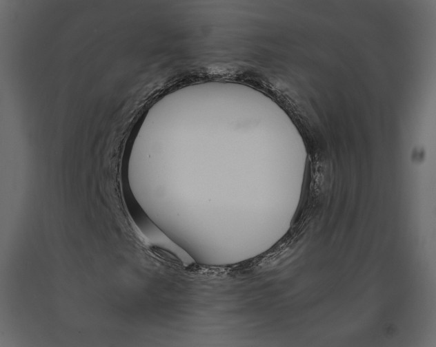 X0000090901249200708270936