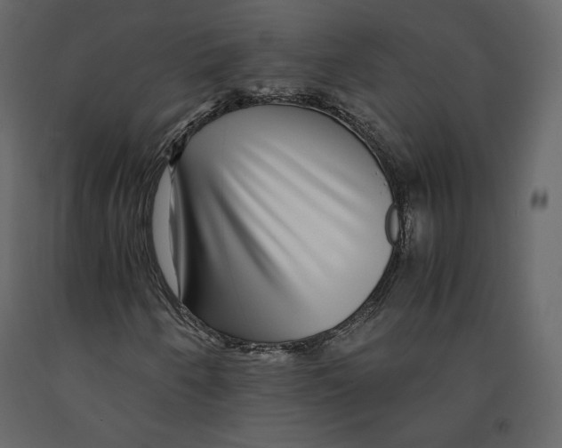 X0000090901250200708270936