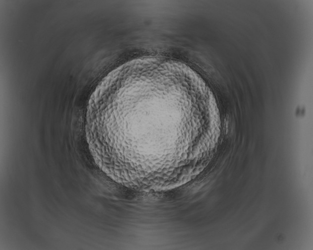 X0000090901251200708270936