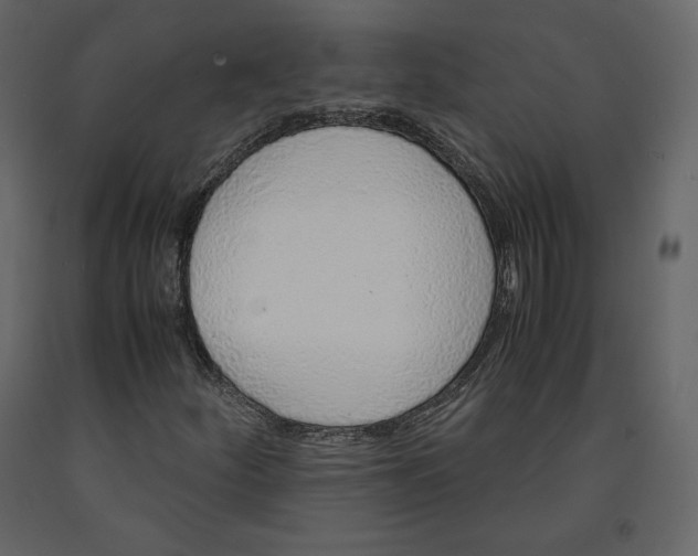 X0000090901252200708270936