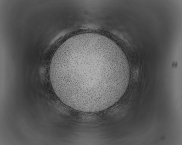 X0000090901254200708270936