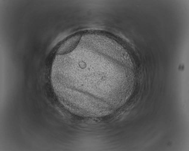 X0000090901255200708270936