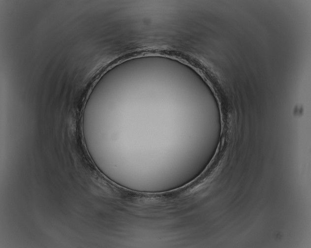 X0000090901257200708270936